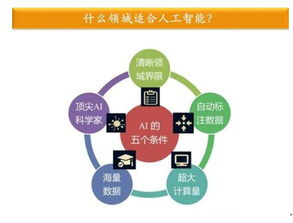 金準數據最新研究揭示 人工智能應用軟件開發驅動行業縱深發展