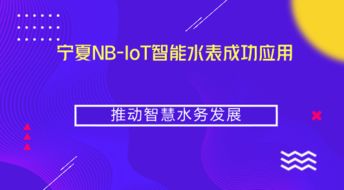 寧夏NB-IoT智能水表成功應(yīng)用，推動智慧水務(wù)與智能水務(wù)系統(tǒng)開發(fā)